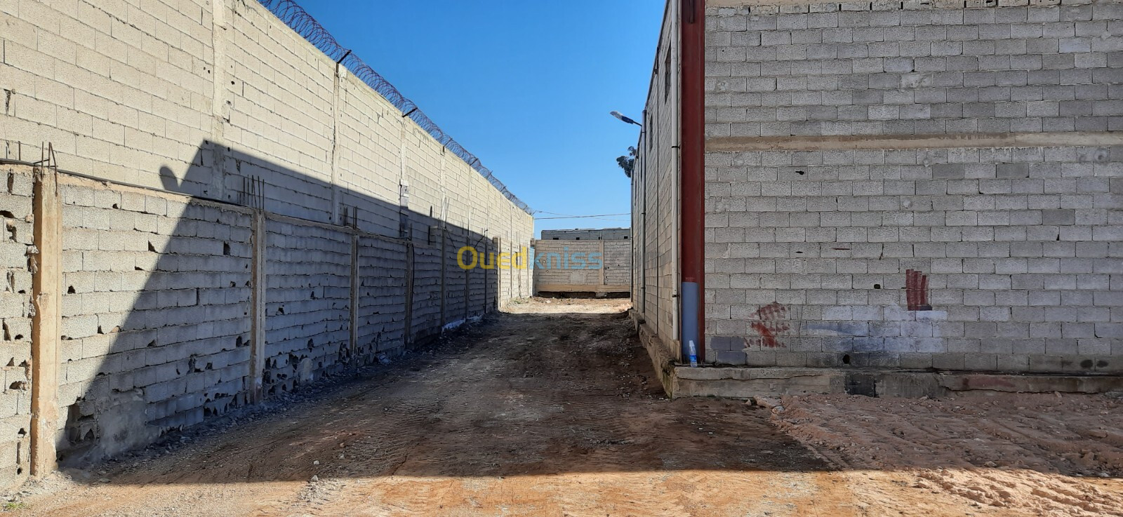 Location Hangar Oran El Kerma