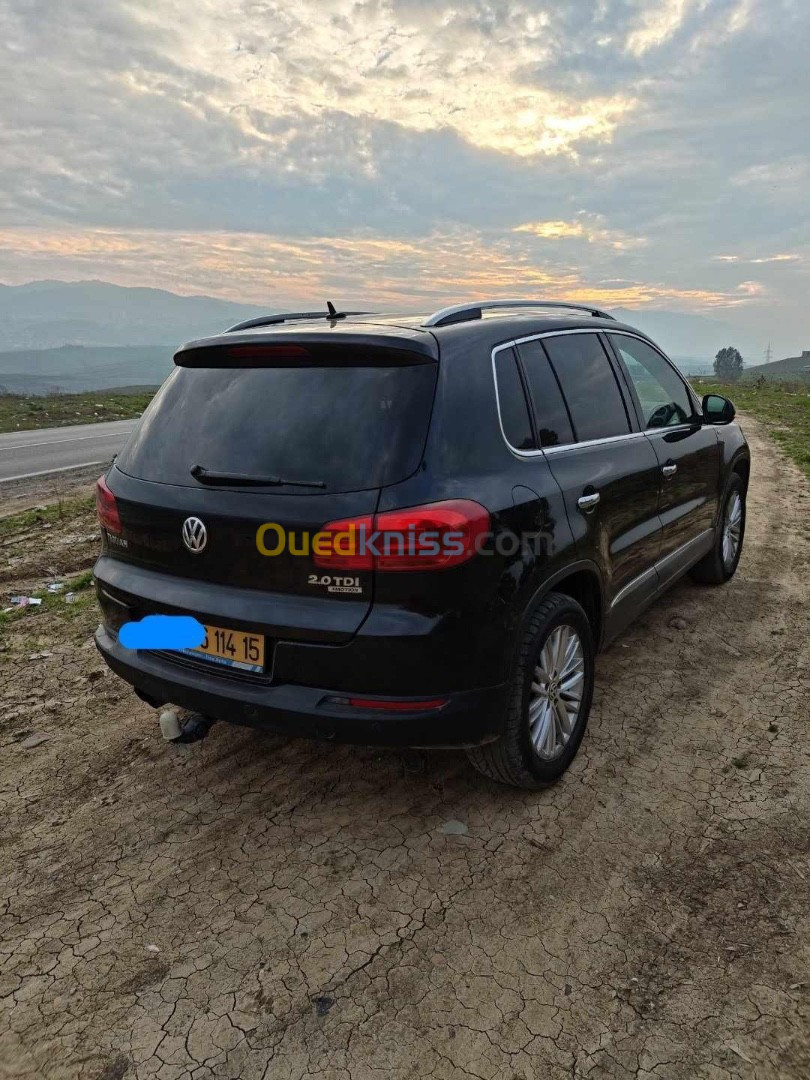 Volkswagen Tiguan 2014 Cup