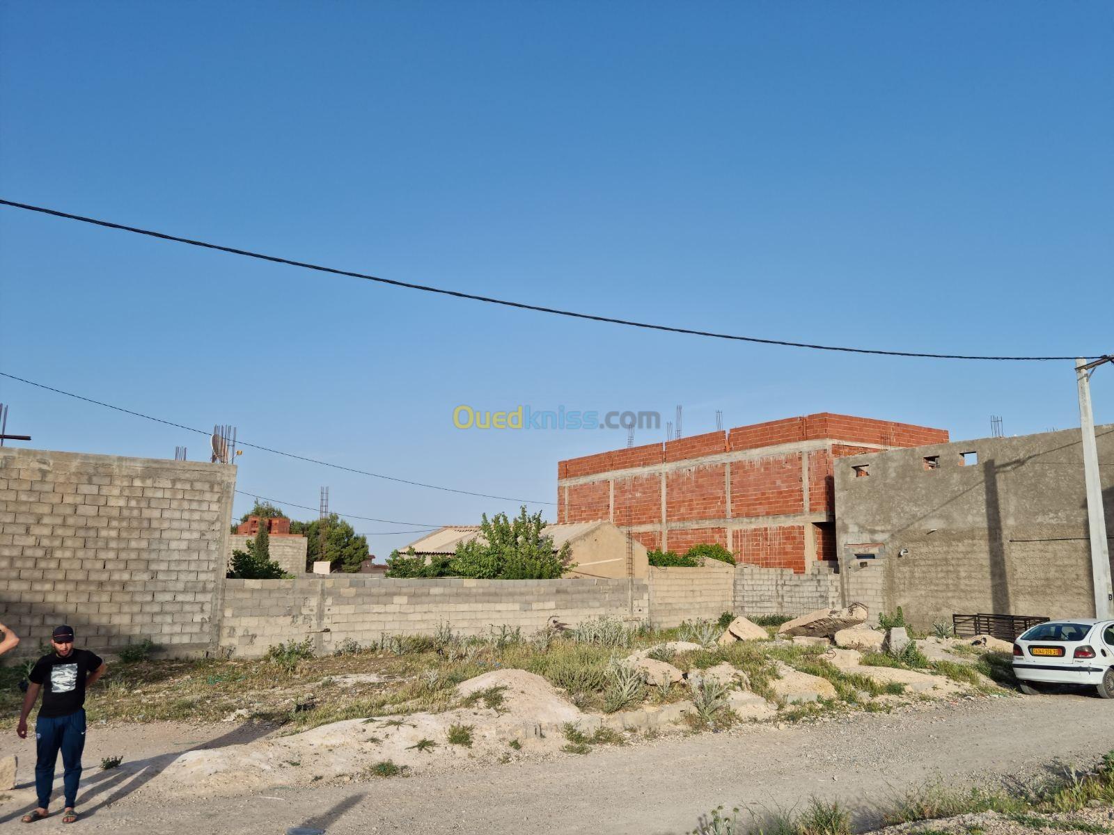 Vente Terrain Sétif Guidjel