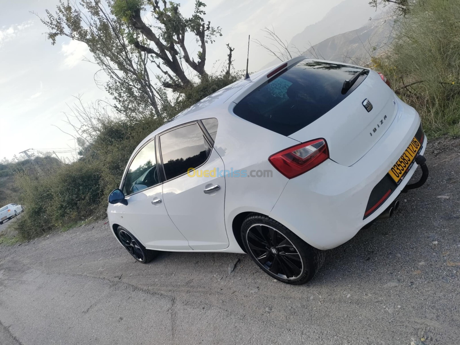 Seat Ibiza 2012 Ibiza