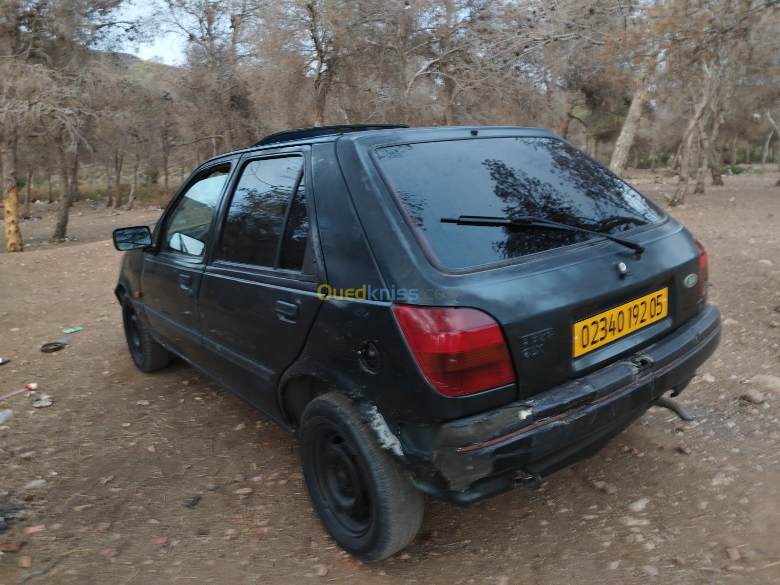 Ford Fiesta 1992 Fiesta