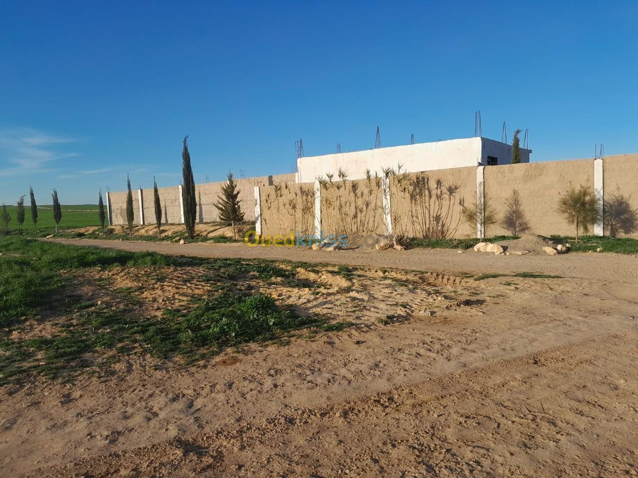 Vente Terrain Tiaret Tiaret