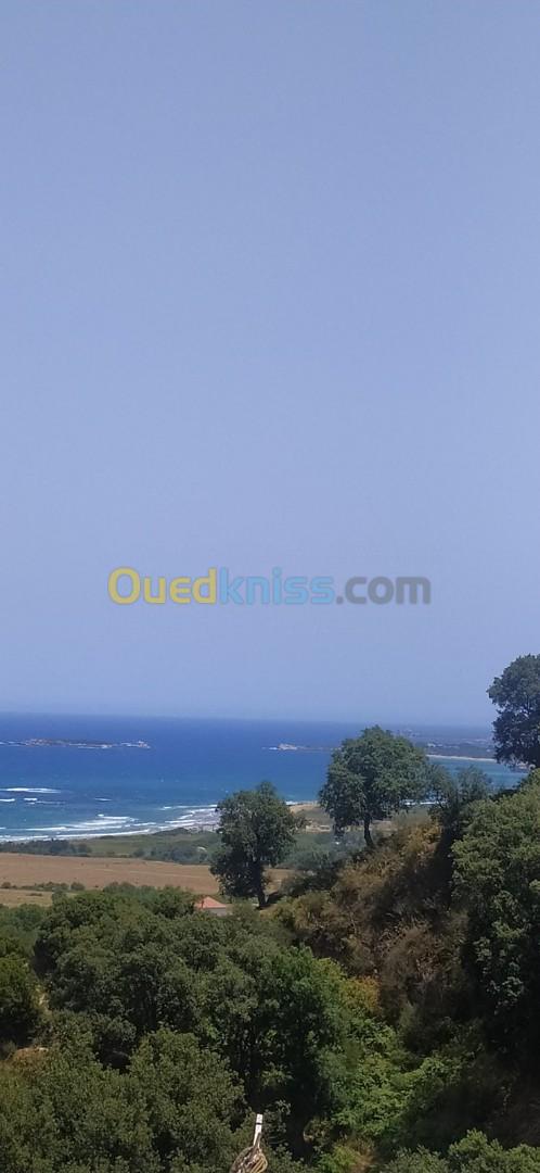 Location Studio Jijel El aouana