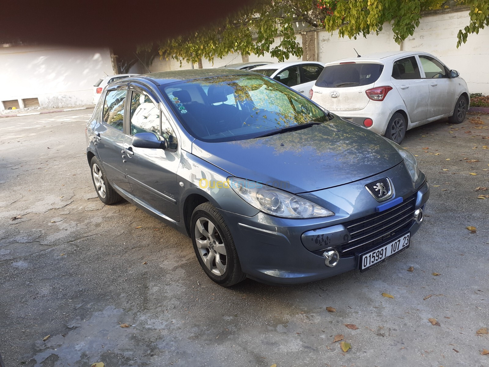 Peugeot 307 2007 Oxygo