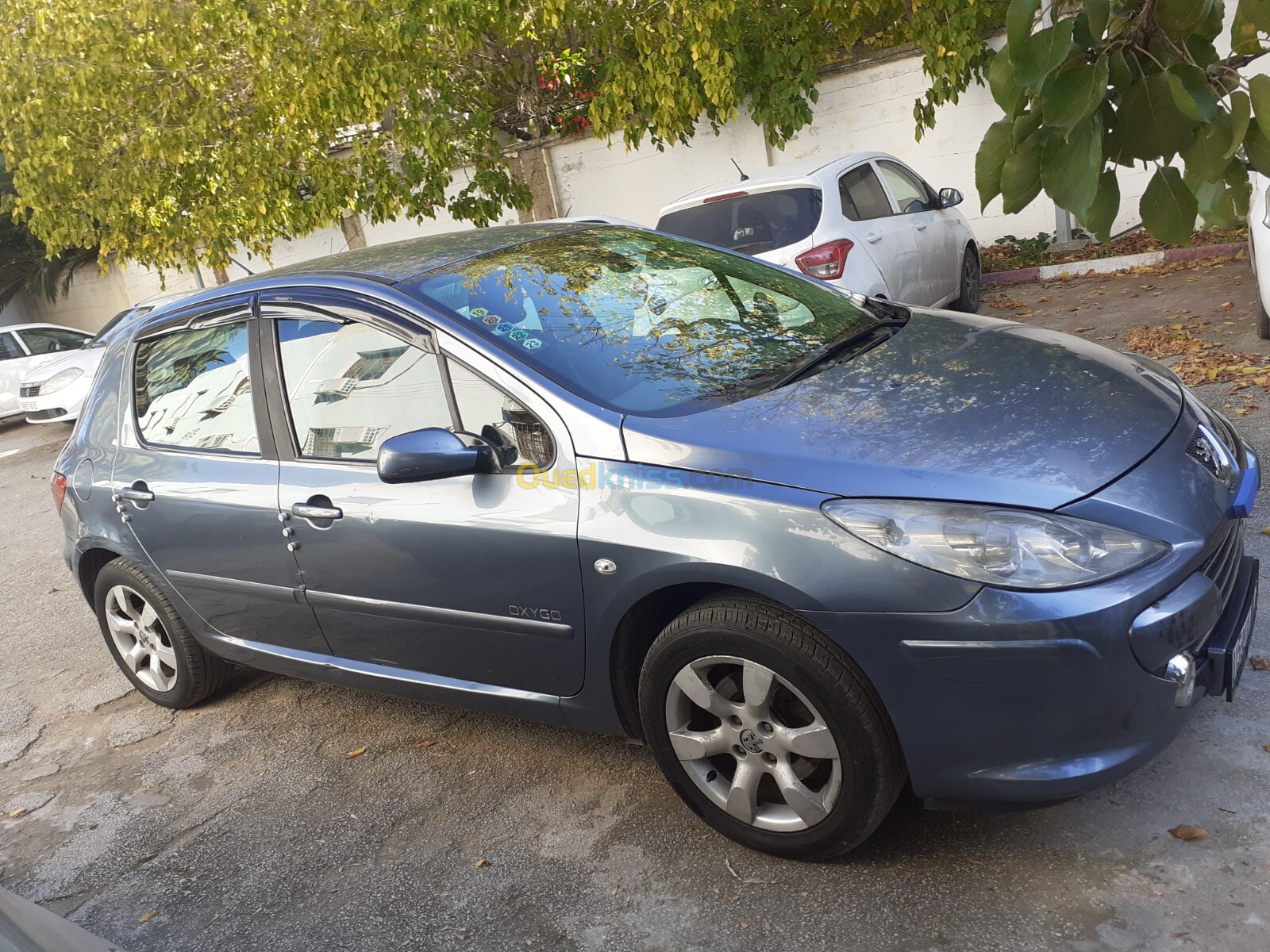 Peugeot 307 2007 Oxygo