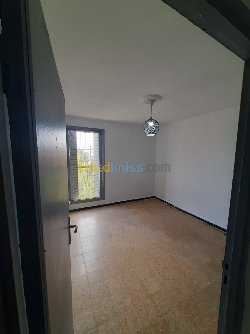 Location Appartement F1 Alger Bab ezzouar