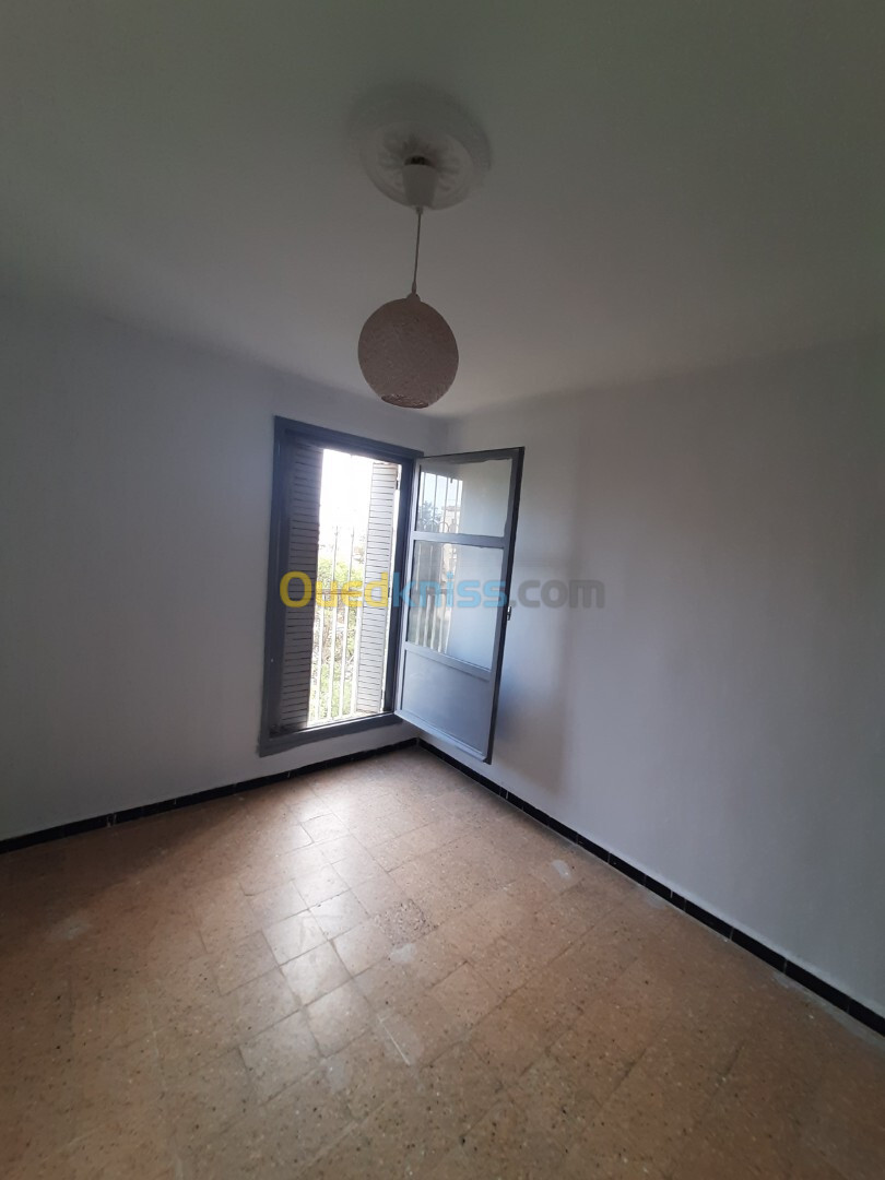 Location Appartement F1 Alger Bab ezzouar