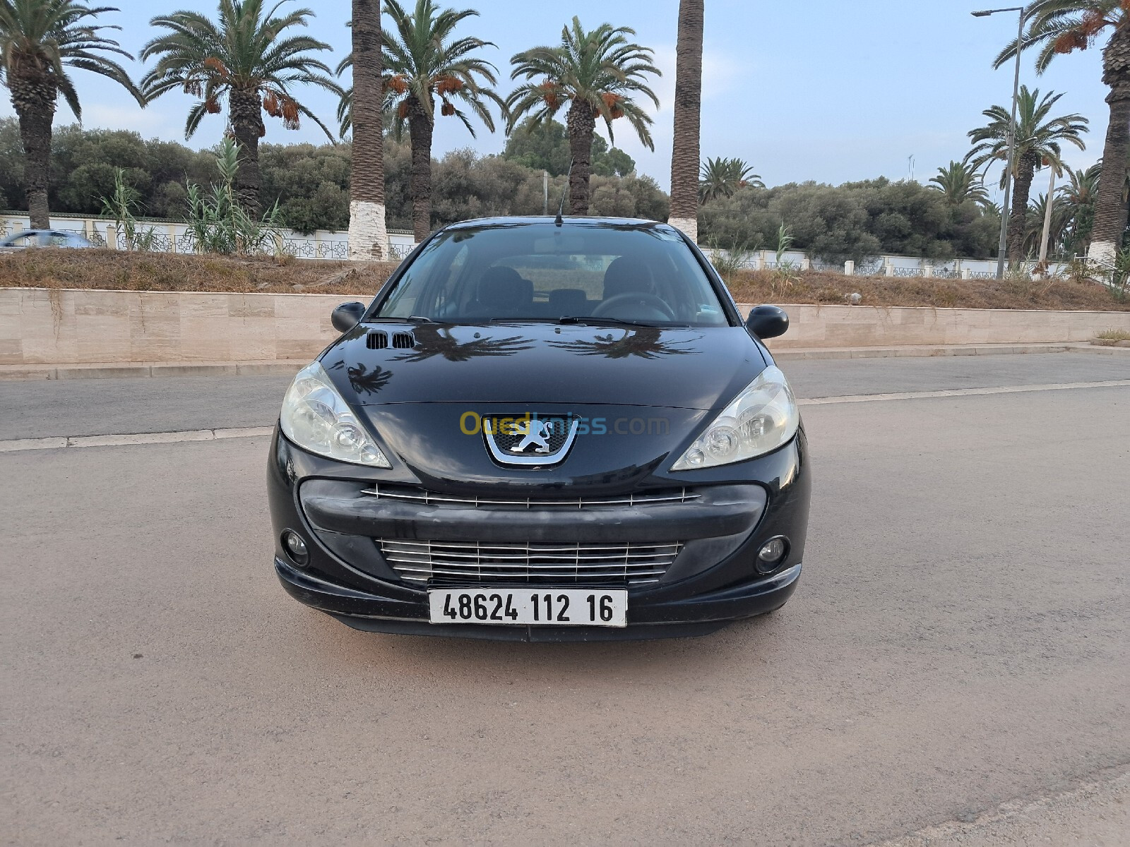 Peugeot 206 Plus 2012 generation