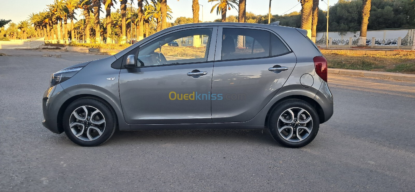 Kia Picanto 2023 Picanto