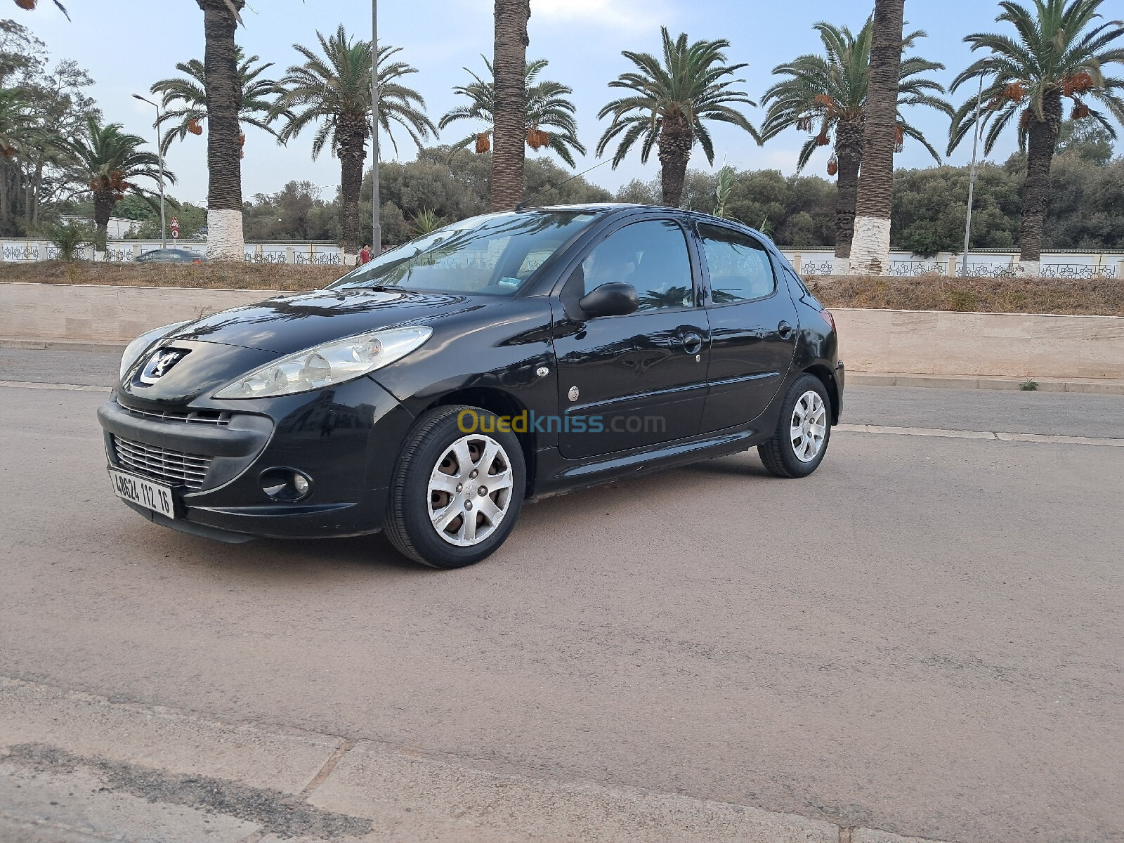 Peugeot 206 Plus 2012 generation