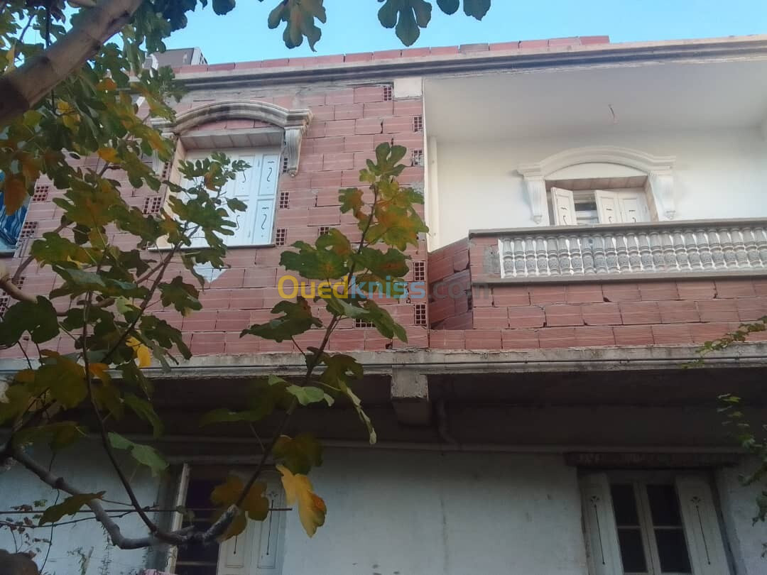 Location Niveau De Villa F5 Blida Ouled selama