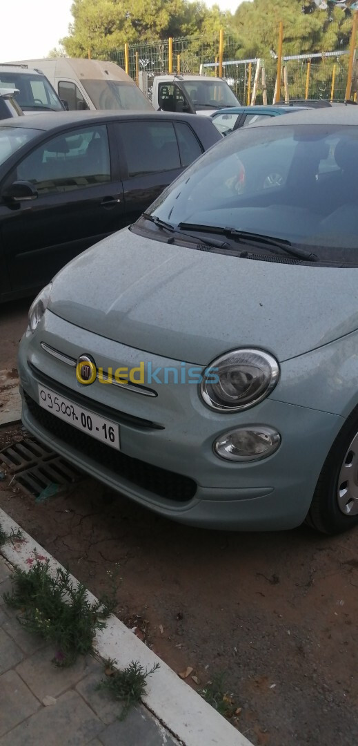 Fiat 500 2024 Cult