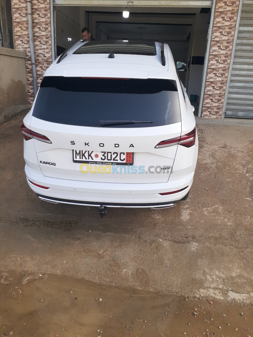 Skoda Karoq 2024 4*4