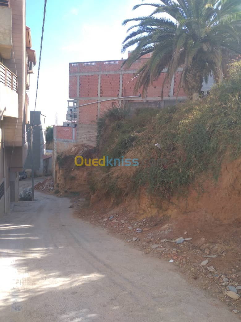 Vente Terrain Alger Saoula