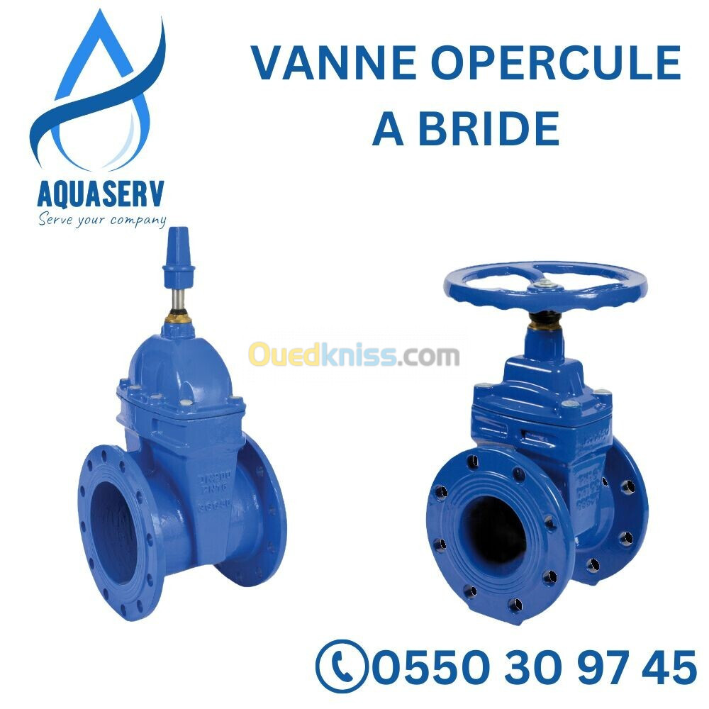 Vanne à opercule (Vanne à bride) DN40-DN600 - (PN16 à PN25)