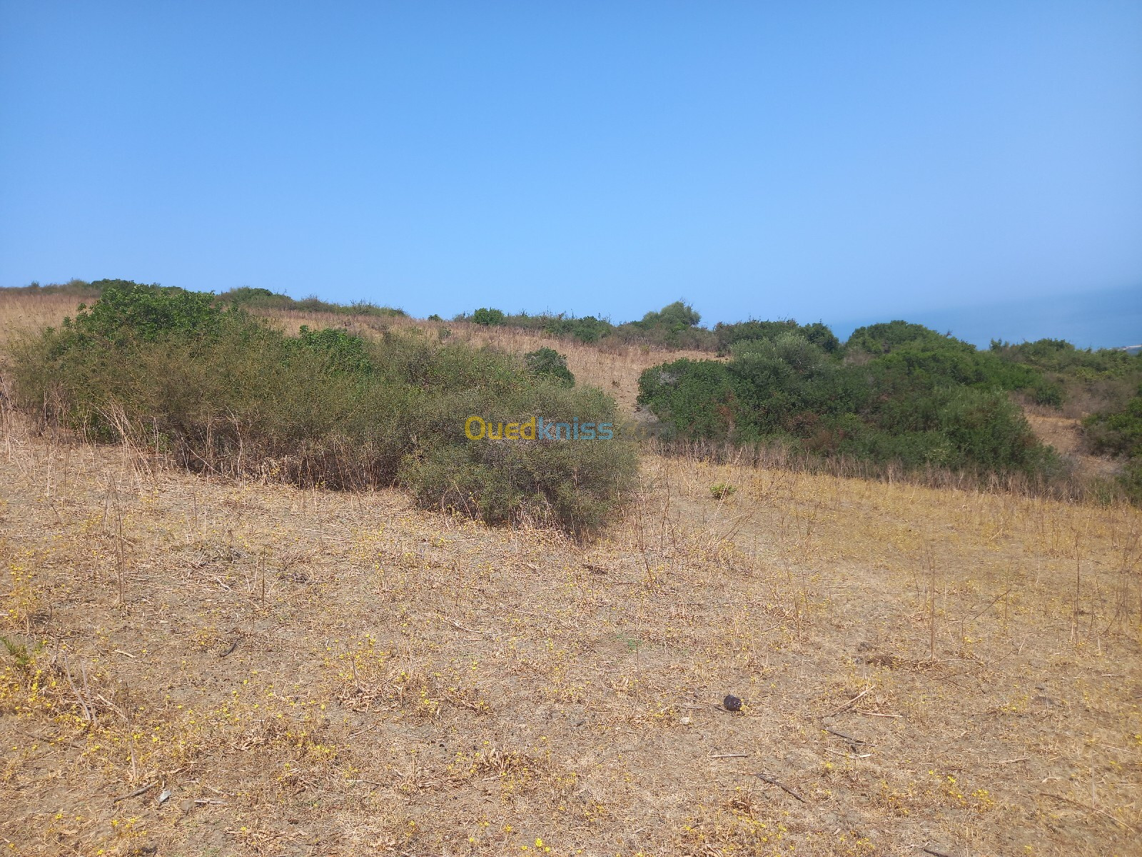 Vente Terrain Jijel El aouana