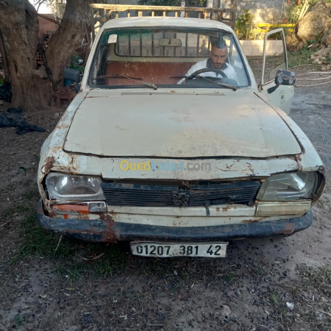 Peugeot 504 1981 