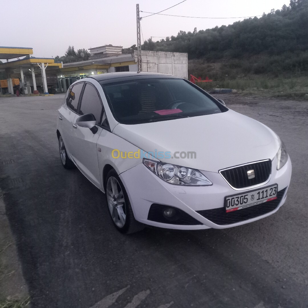 Seat Ibiza 2011 Loca