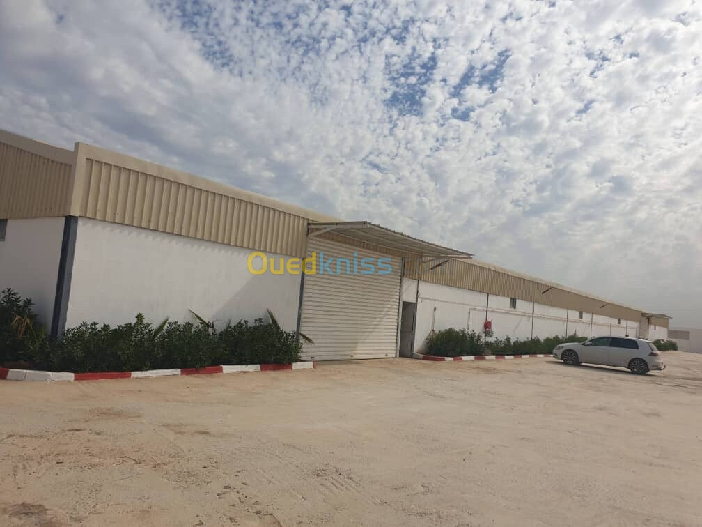 Vente Terrain Mostaganem Mostaganem