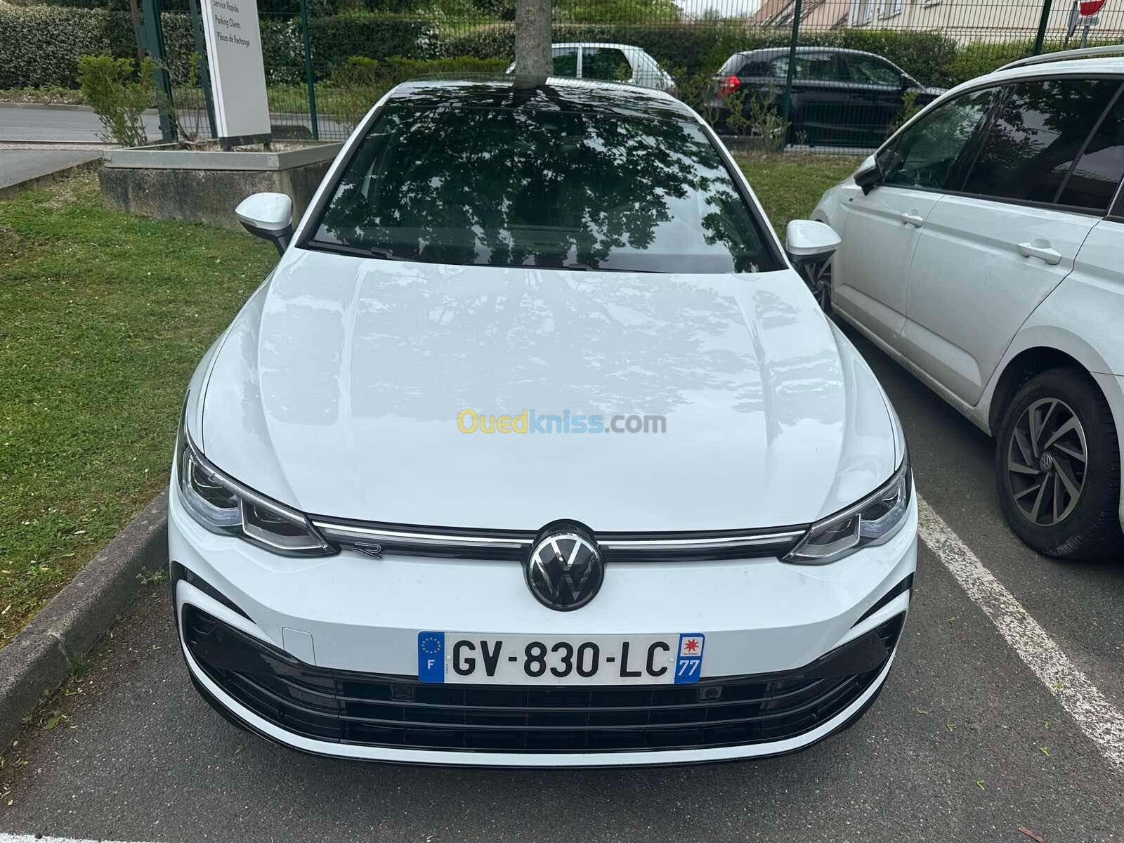 Volkswagen Golf 8 2024 R LINE