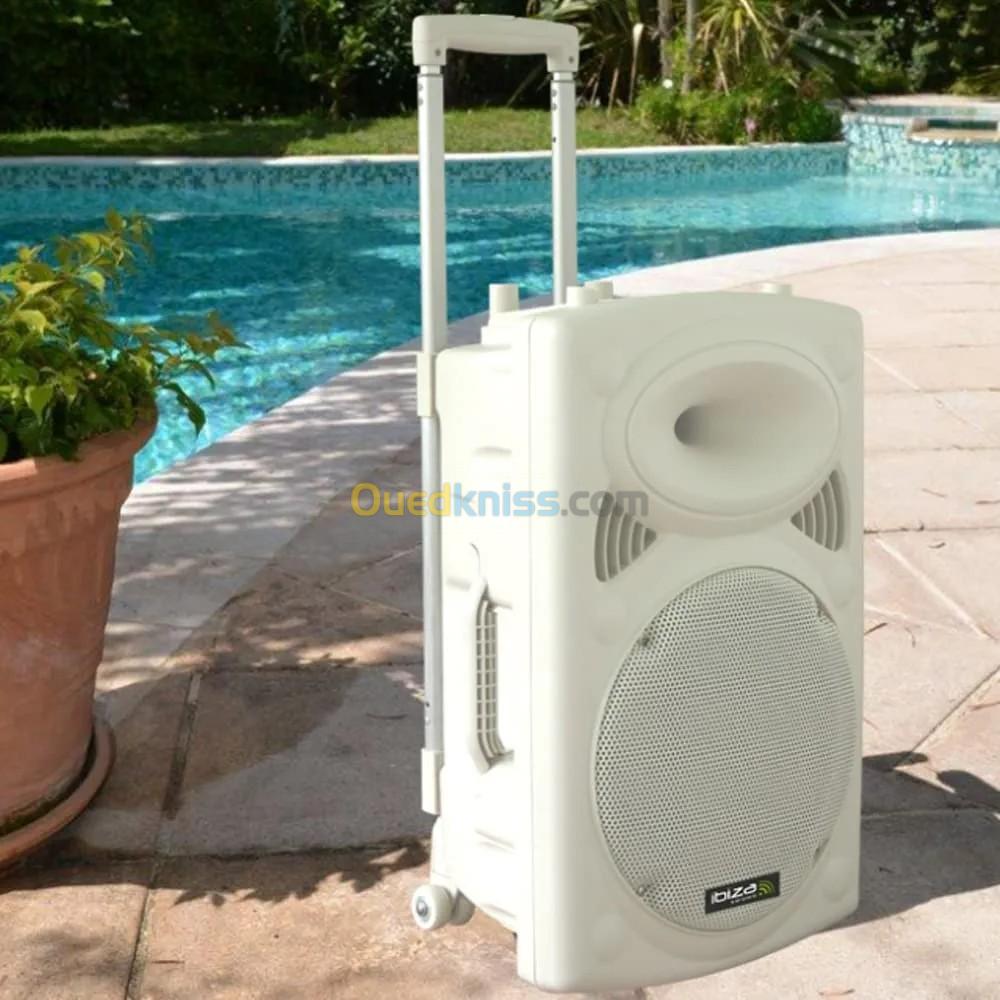 Enceinte Ibiza sound 