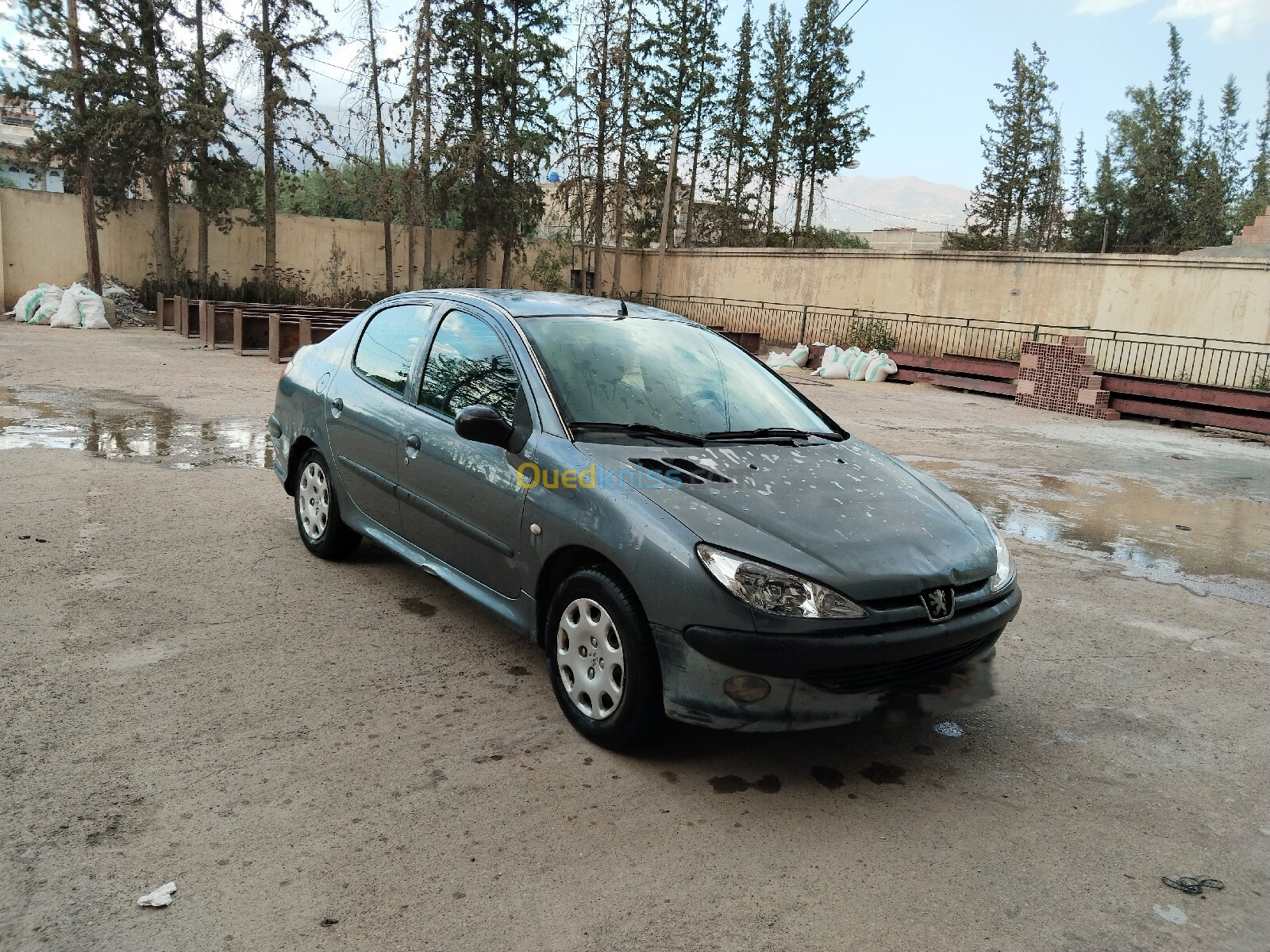 Peugeot 206 Sedan 2008 206 Sedan