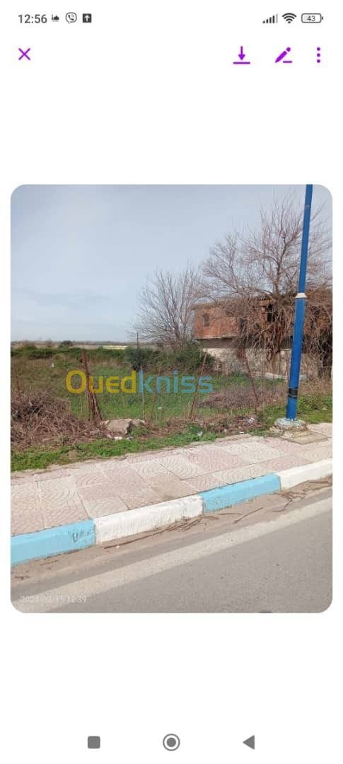 Vente Terrain Jijel Kemir oued adjoul