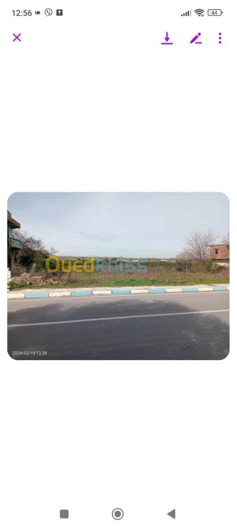 Vente Terrain Jijel Kemir oued adjoul