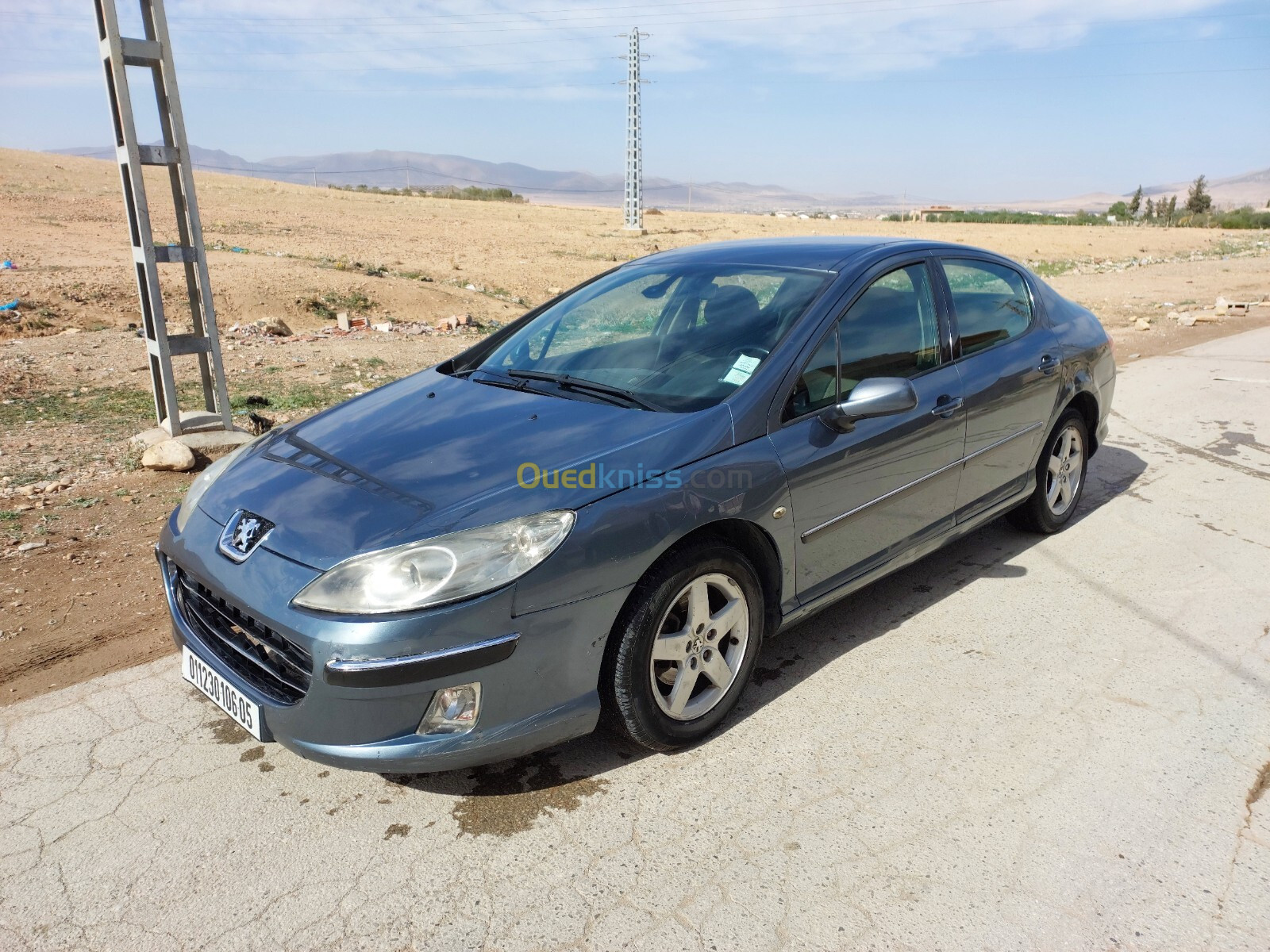 Peugeot 407 2006 