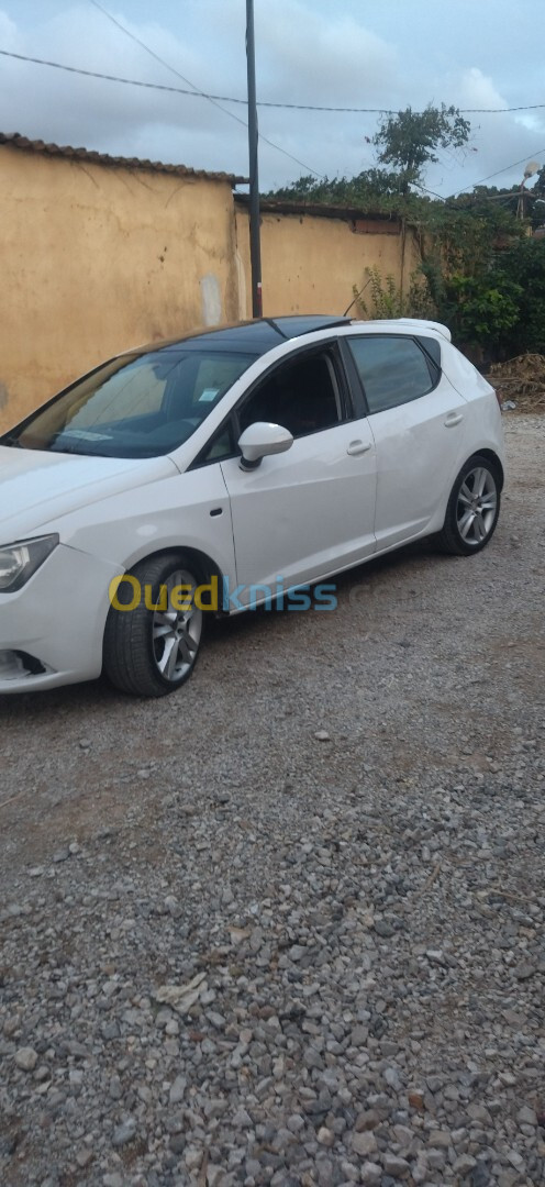 Seat Ibiza 2011 Loca