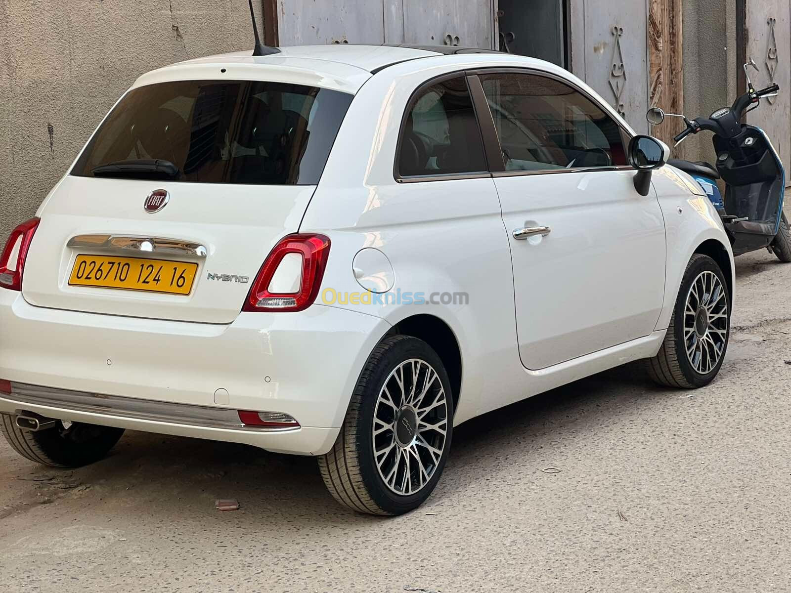 Fiat 500 2024 Dotchivitea