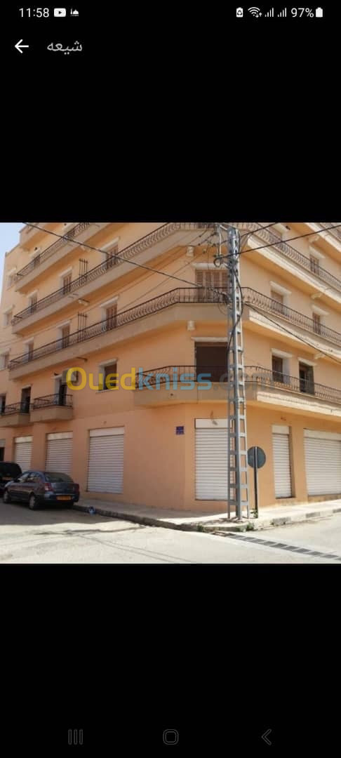 Location Appartement Ain temouchent Ain temouchent