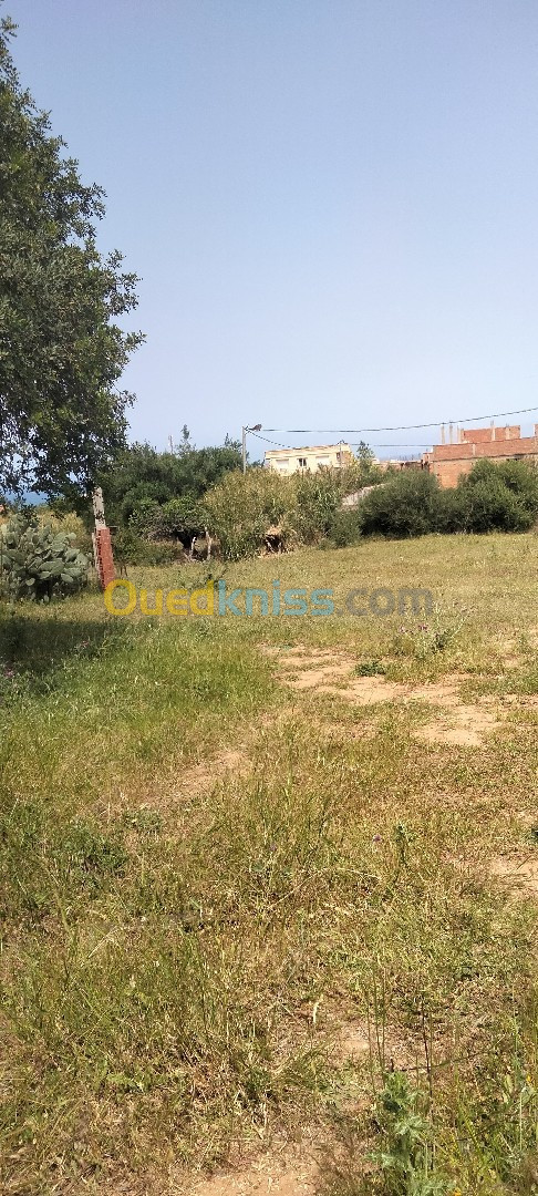 Vente Terrain Boumerdès Zemmouri