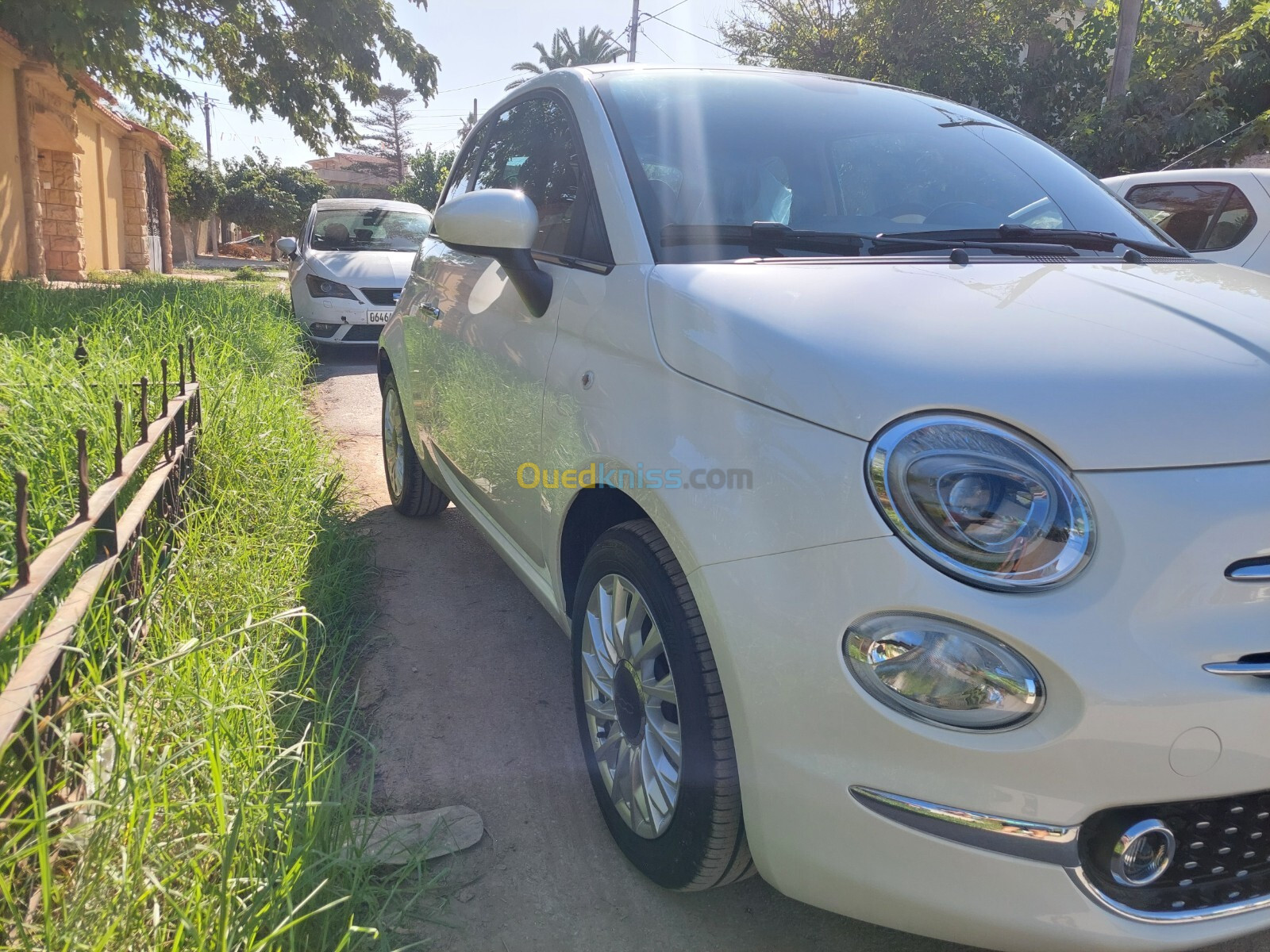 Fiat 500 2024 Dolcevita