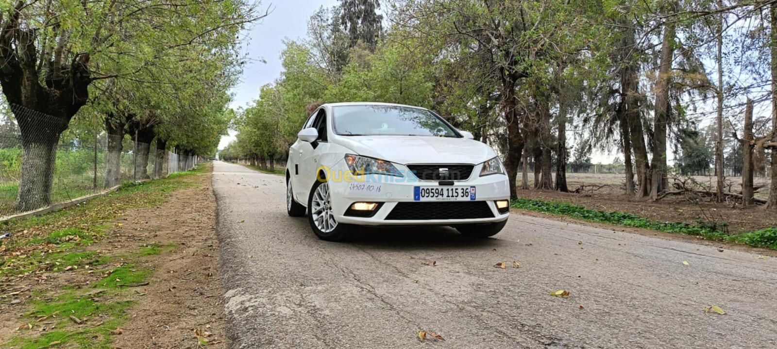 Seat Ibiza 2015 Fully