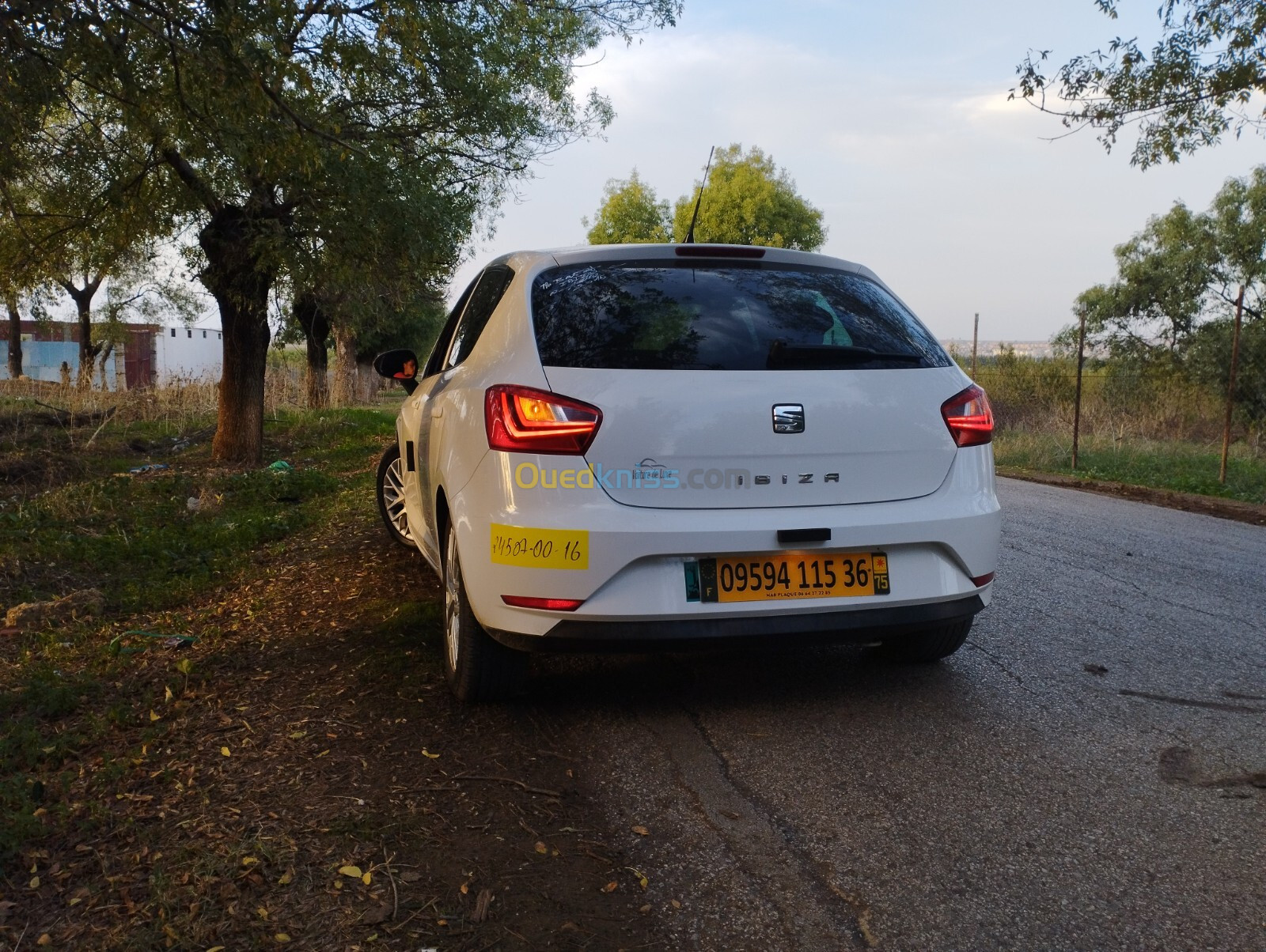 Seat Ibiza 2015 Fully