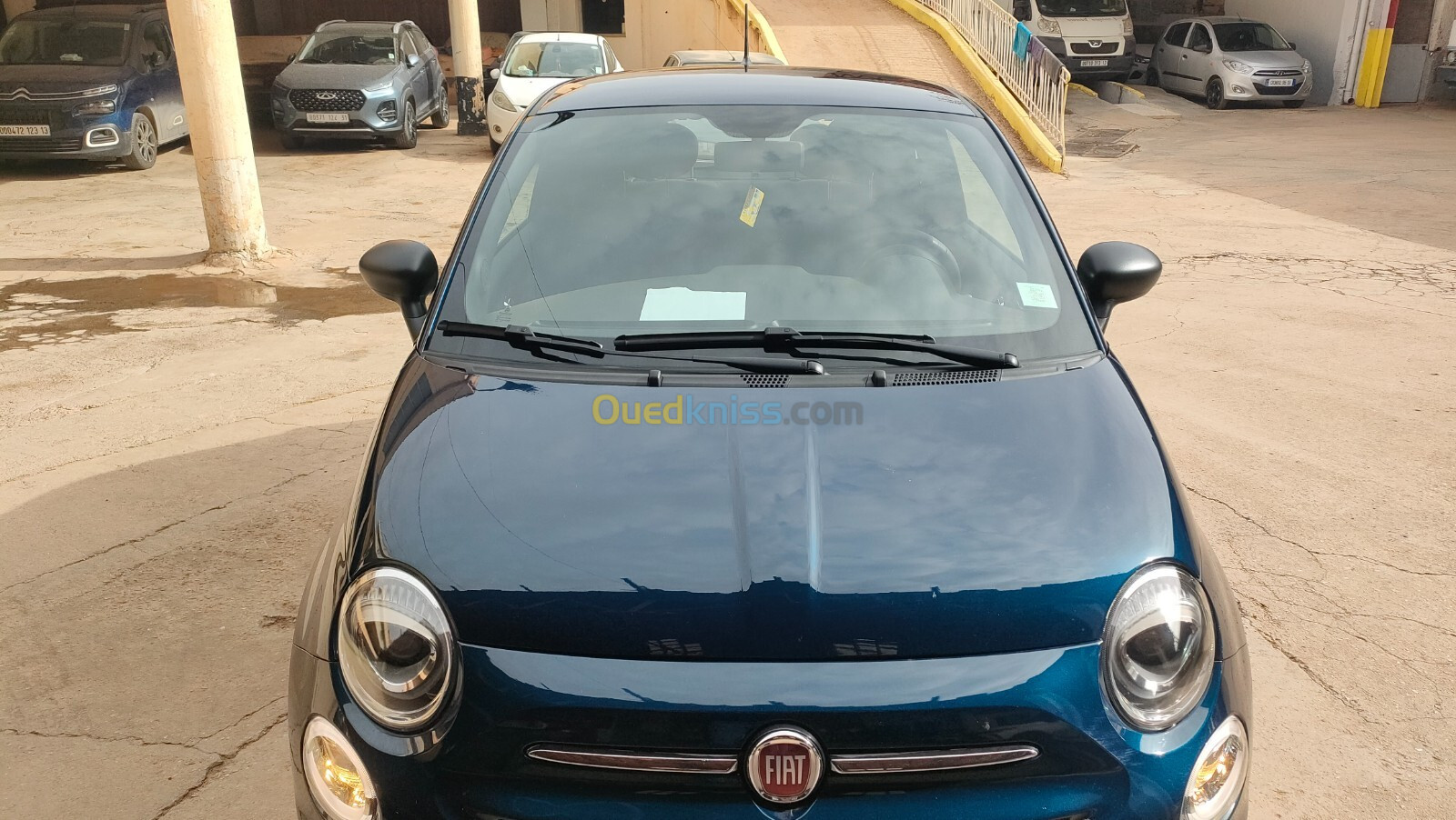 Fiat 500 2024 