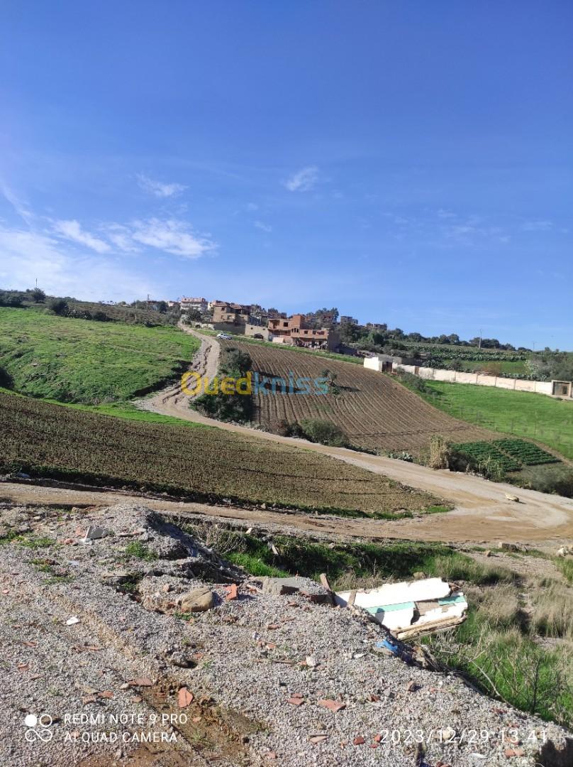 Vente Terrain Boumerdès Larbatache