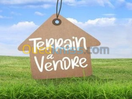 Vente Terrain Batna Batna