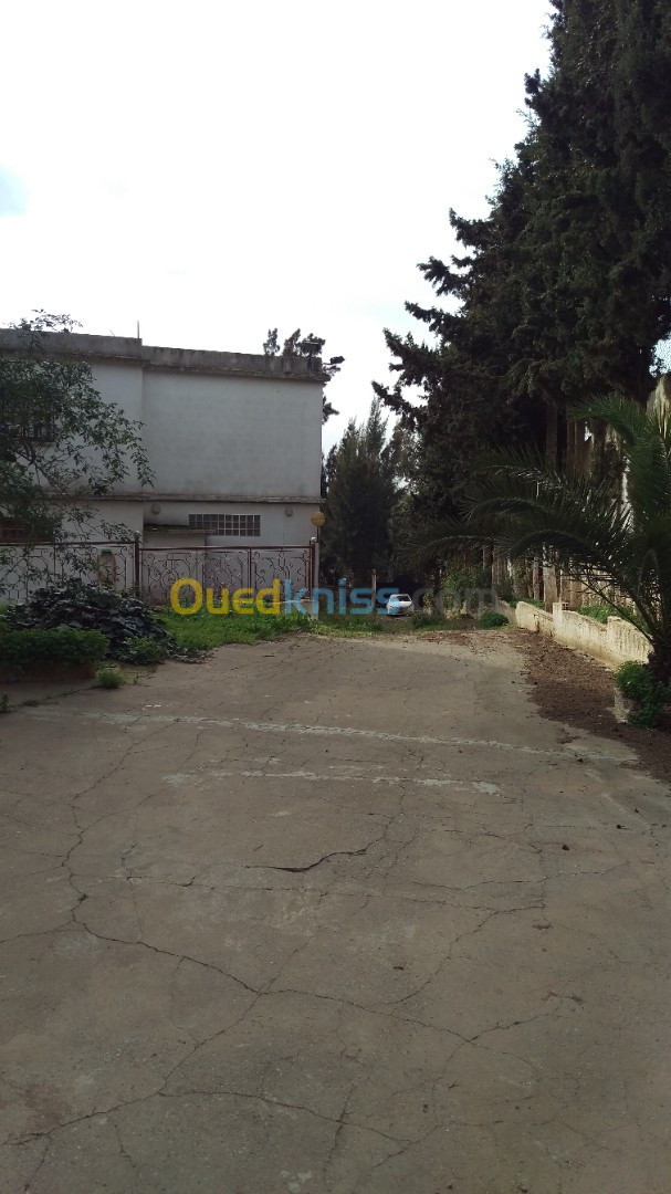 Vente Villa Alger Khraissia