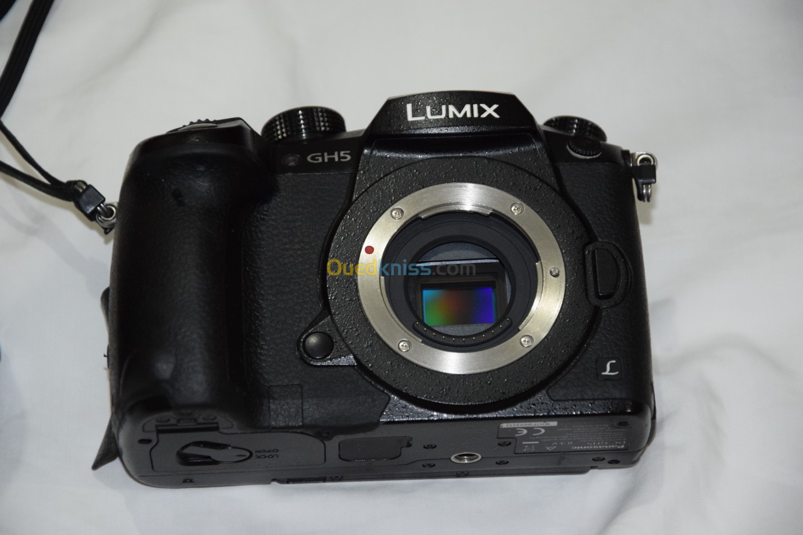 Panasonic Lumix GH5