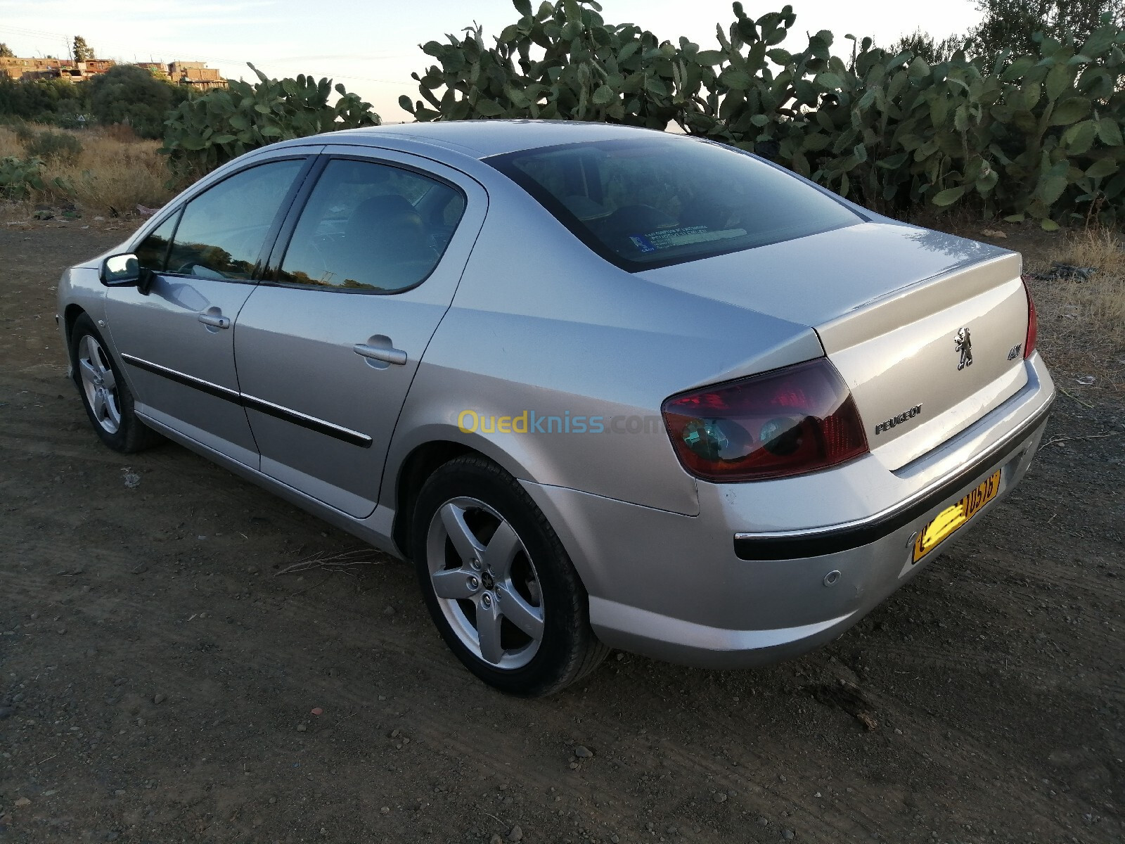 Peugeot 407 2005 407