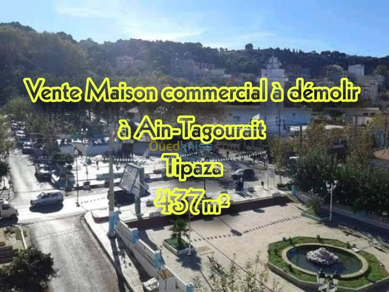 Vente Terrain Tipaza Ain tagourait