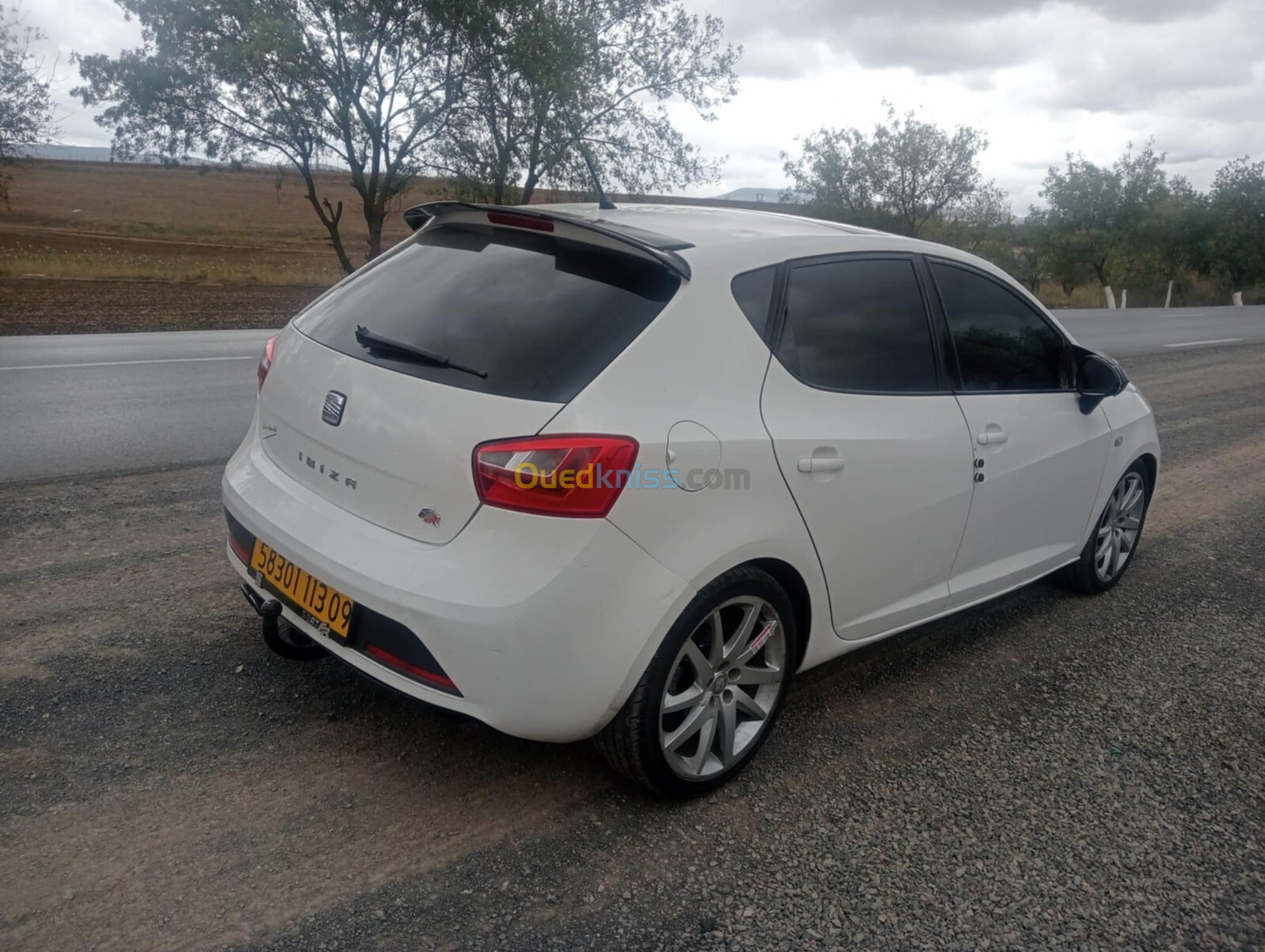 Seat Ibiza 2013 Ibiza