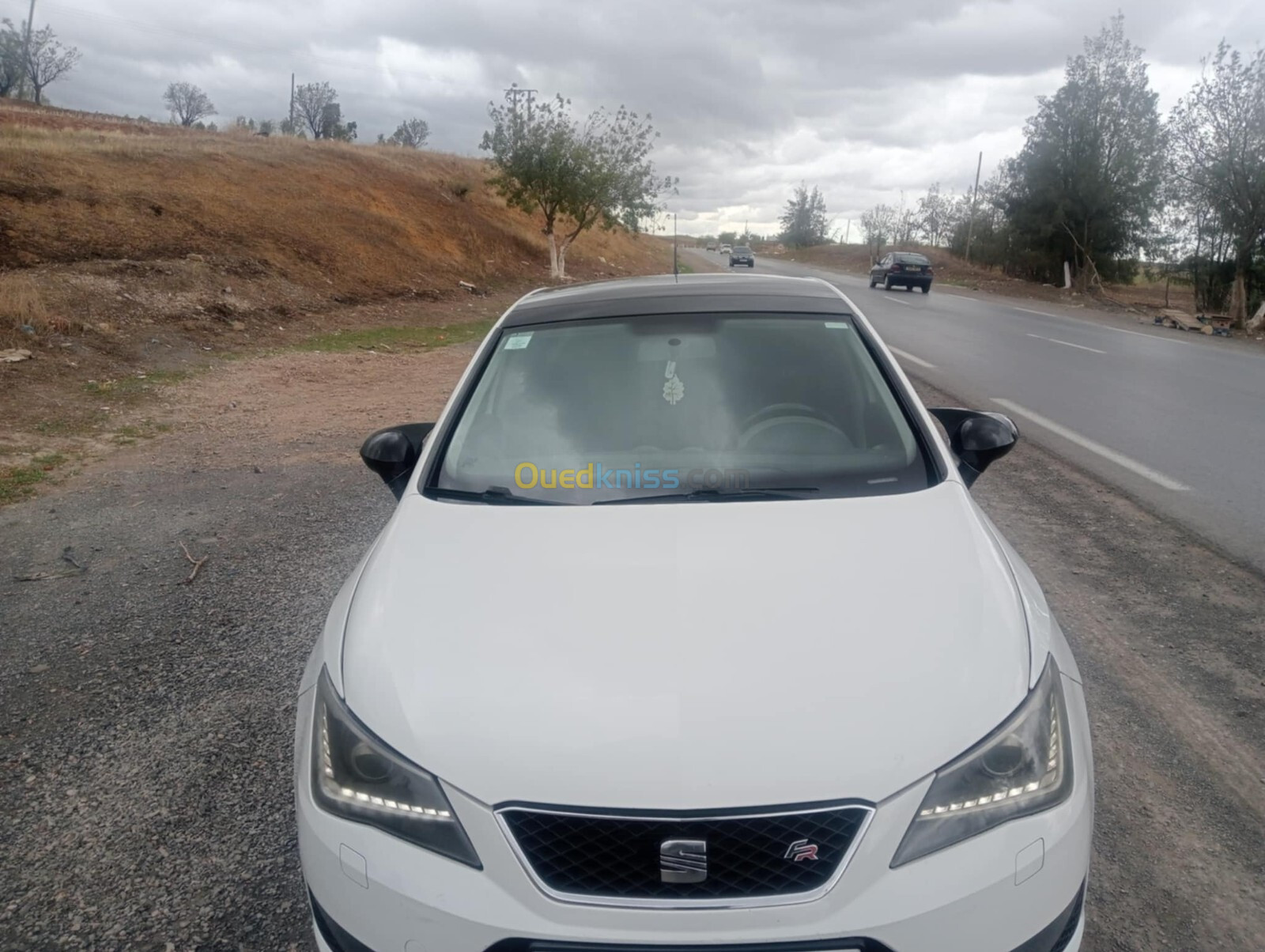 Seat Ibiza 2013 Ibiza