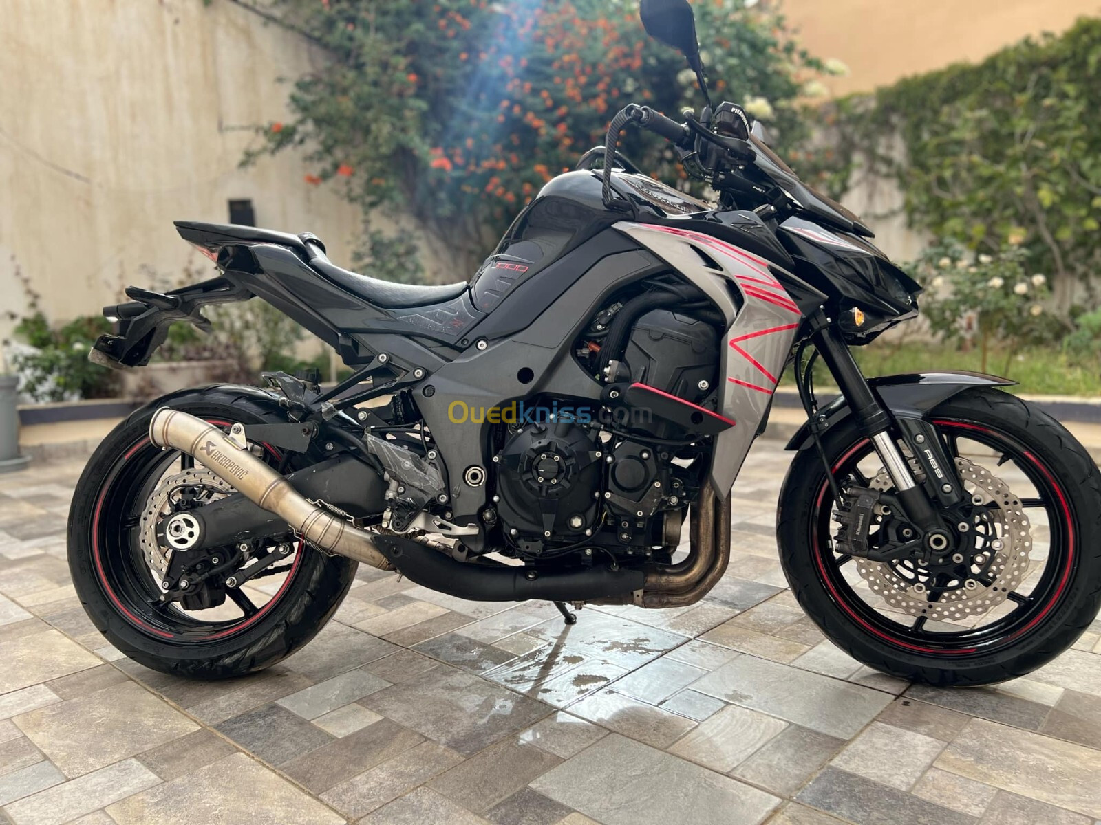 Kawasaki Z1000 2019