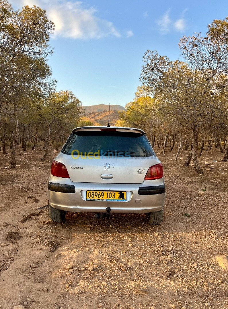 Peugeot 307 2003 307