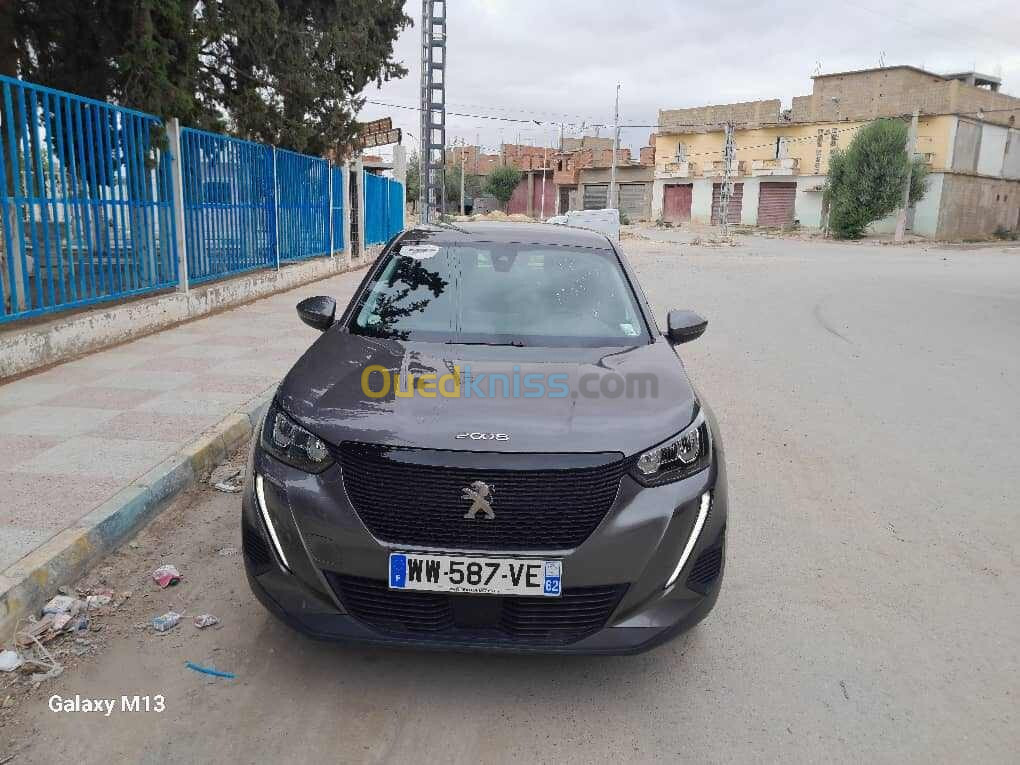 Peugeot 2008 2021 Erg