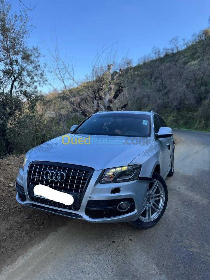 Audi Q5 2009 Off Road Pack Tech