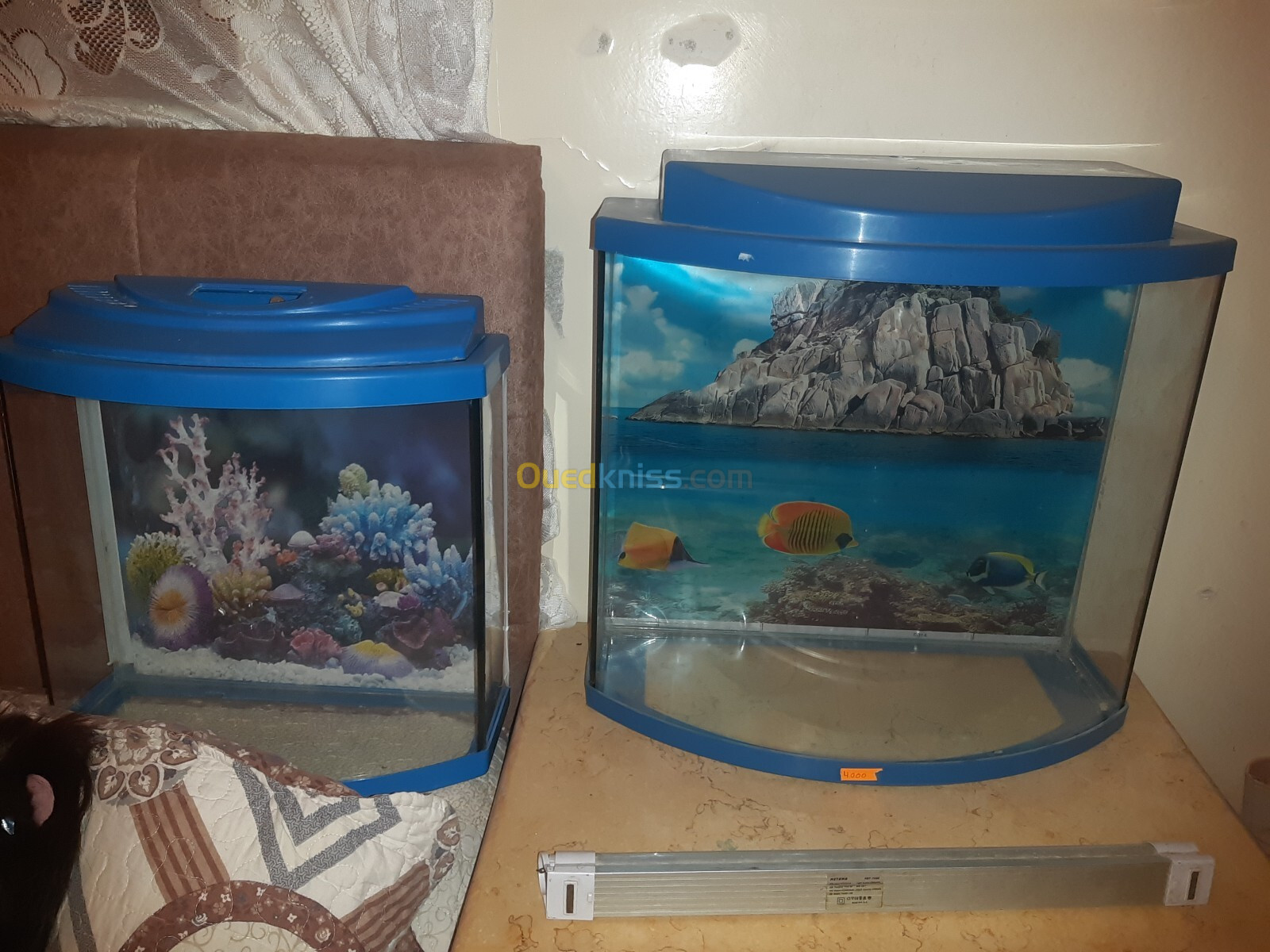 Aquarium façade bombée 40 litres 